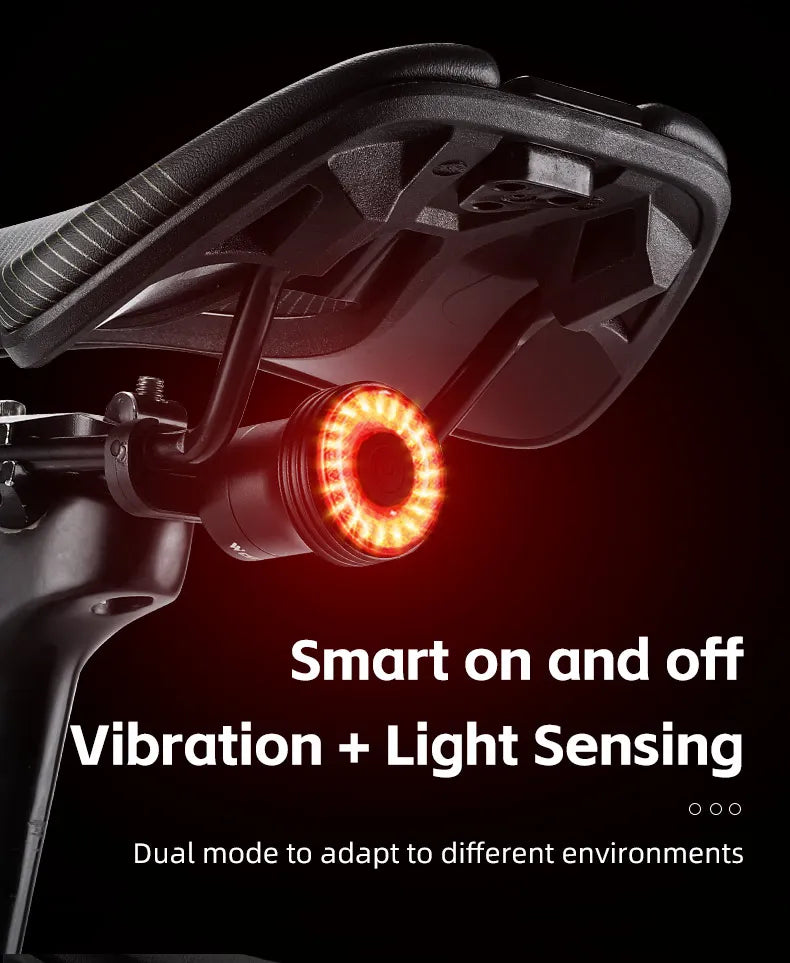 Feu Arrière Vélo WEST BIKING — Détection Intelligente du Mouvement — Recharge USB-C — IPX6 Étanche — Clignotant Sécurité pour VTT & Route